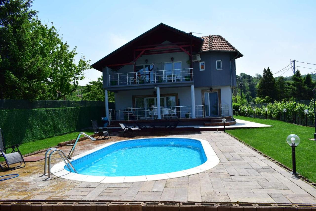 Villa Private Lux Mila With Swimming Pool By The Danube, Sleeps 18 Smederevo